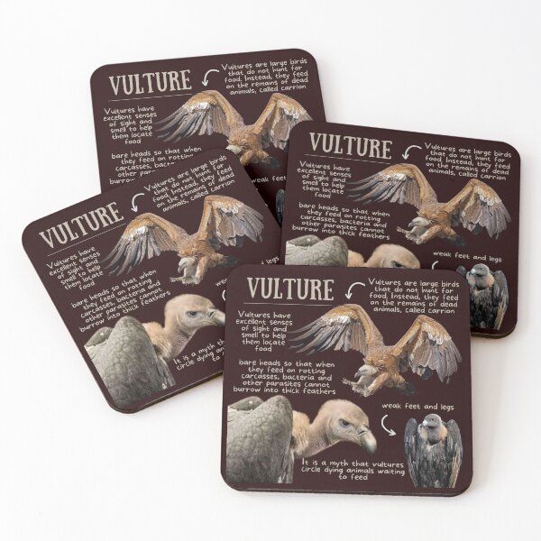 Item preview, Vulture Fun Facts designed and sold by KyleNesas.