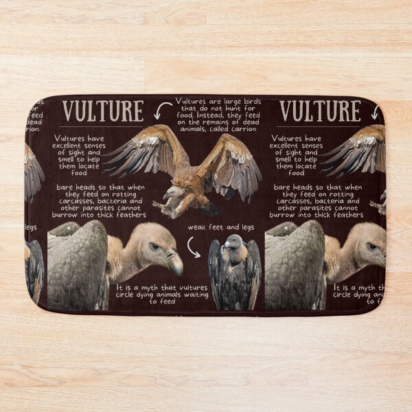 Item preview, Vulture Fun Facts designed and sold by KyleNesas.