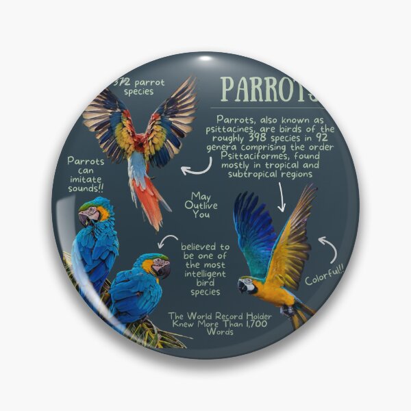 Item preview, Parrot Fun Facts designed and sold by KyleNesas.