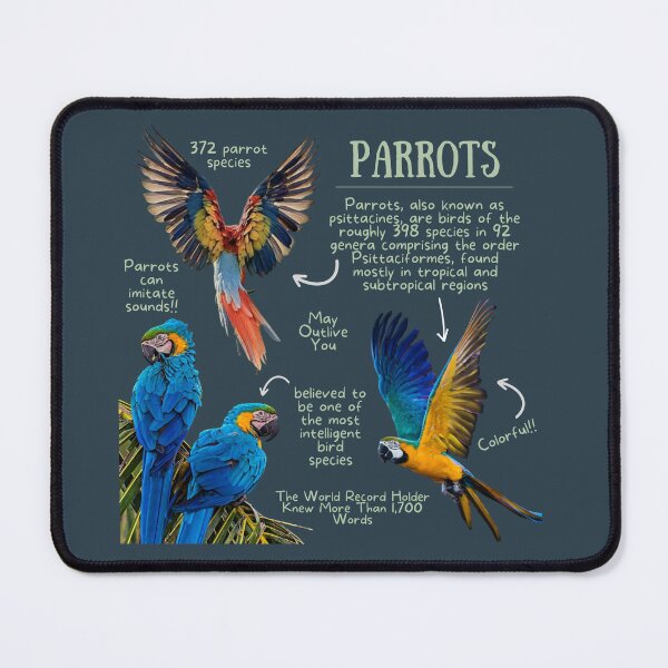 Item preview, Parrot Fun Facts designed and sold by KyleNesas.