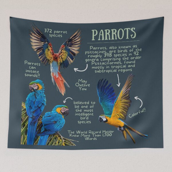 Item preview, Parrot Fun Facts designed and sold by KyleNesas.
