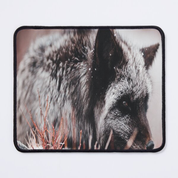 Item preview,  American gray wolf, gray and white wolf lovers, wolfes, pet wolf-dog designed and sold by Nicedeco.