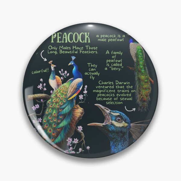 Item preview, Peacock Fun Facts designed and sold by KyleNesas.