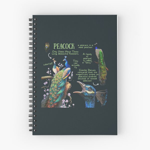 Item preview, Peacock Fun Facts designed and sold by KyleNesas.