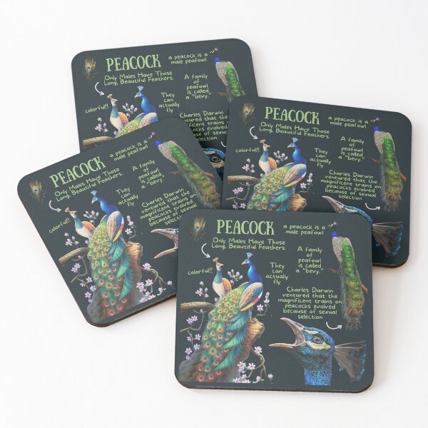 Item preview, Peacock Fun Facts designed and sold by KyleNesas.