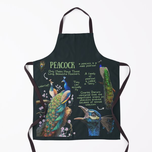 Item preview, Peacock Fun Facts designed and sold by KyleNesas.