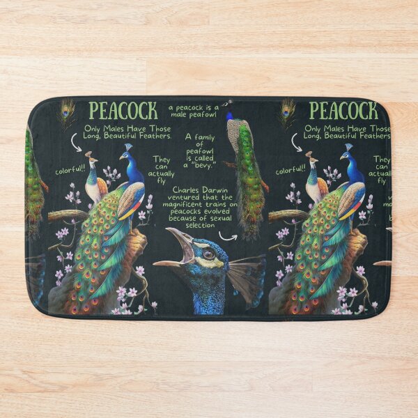 Item preview, Peacock Fun Facts designed and sold by KyleNesas.