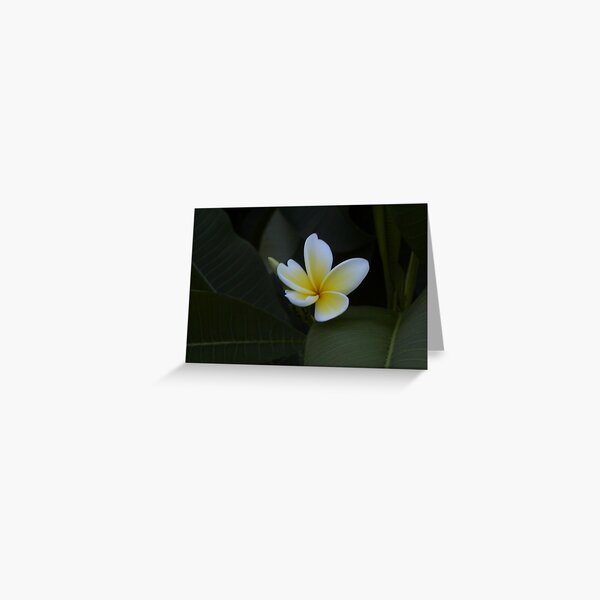 Hawaii delight Greeting Card