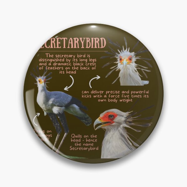 Item preview, Secretarybird Fun Facts designed and sold by KyleNesas.