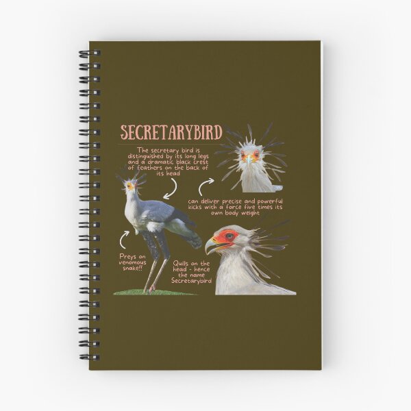 Item preview, Secretarybird Fun Facts designed and sold by KyleNesas.