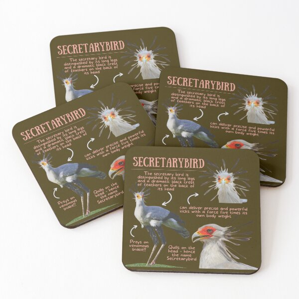 Item preview, Secretarybird Fun Facts designed and sold by KyleNesas.