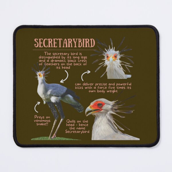 Item preview, Secretarybird Fun Facts designed and sold by KyleNesas.