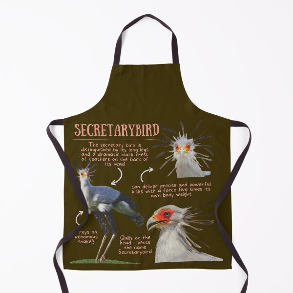 Item preview, Secretarybird Fun Facts designed and sold by KyleNesas.