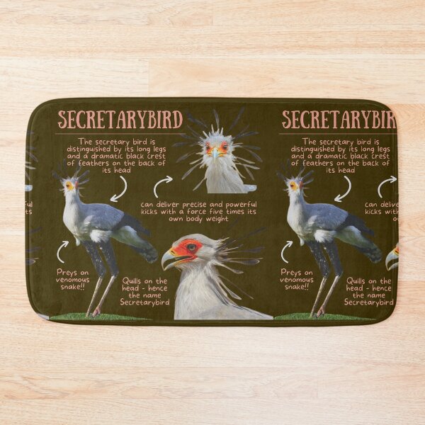 Item preview, Secretarybird Fun Facts designed and sold by KyleNesas.