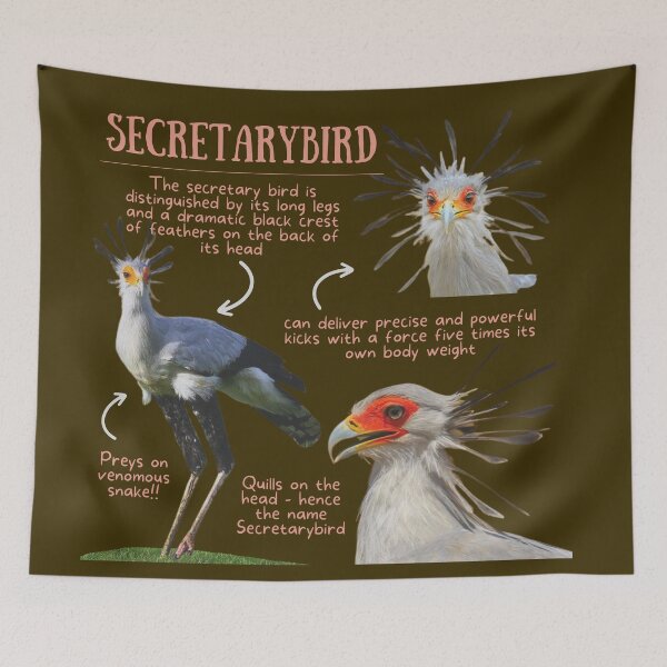 Item preview, Secretarybird Fun Facts designed and sold by KyleNesas.