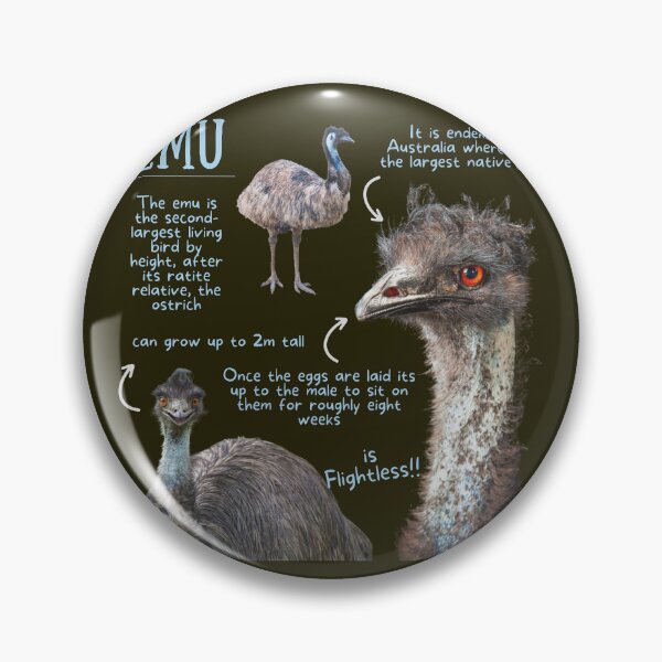 Item preview, Emu Fun Facts designed and sold by KyleNesas.