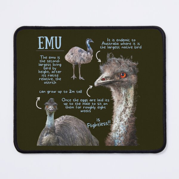 Item preview, Emu Fun Facts designed and sold by KyleNesas.