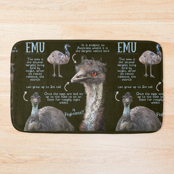 Item preview, Emu Fun Facts designed and sold by KyleNesas.