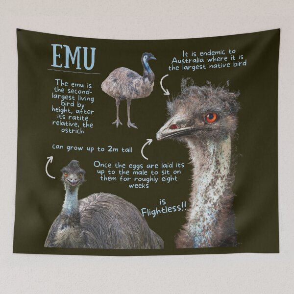 Item preview, Emu Fun Facts designed and sold by KyleNesas.