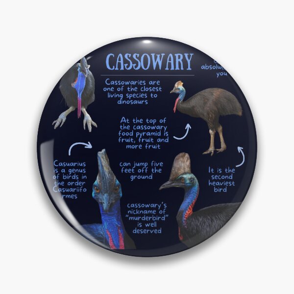 Item preview, Cassowary Fun Facts designed and sold by KyleNesas.