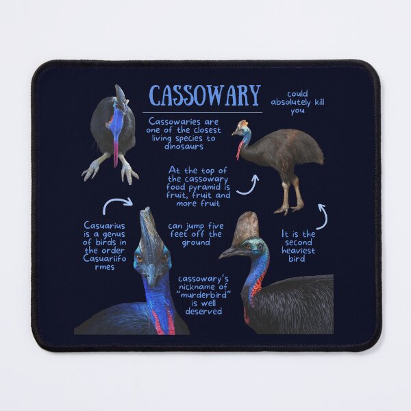Item preview, Cassowary Fun Facts designed and sold by KyleNesas.