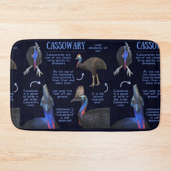 Item preview, Cassowary Fun Facts designed and sold by KyleNesas.