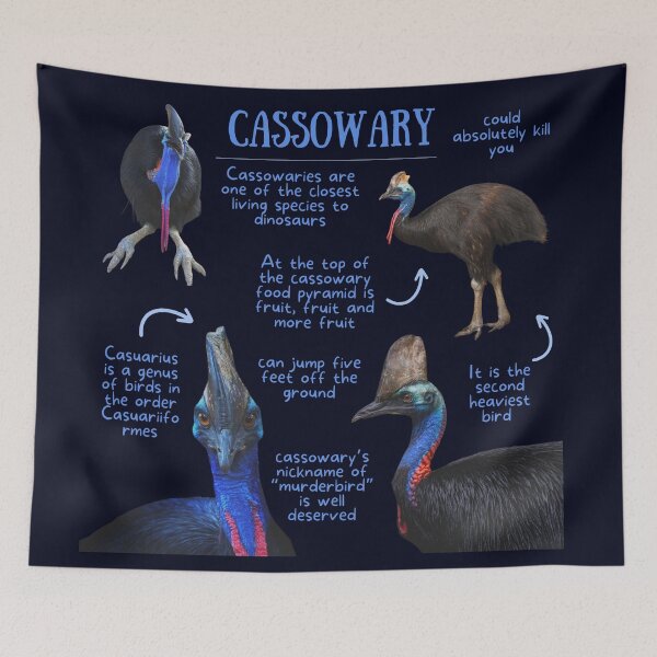 Item preview, Cassowary Fun Facts designed and sold by KyleNesas.