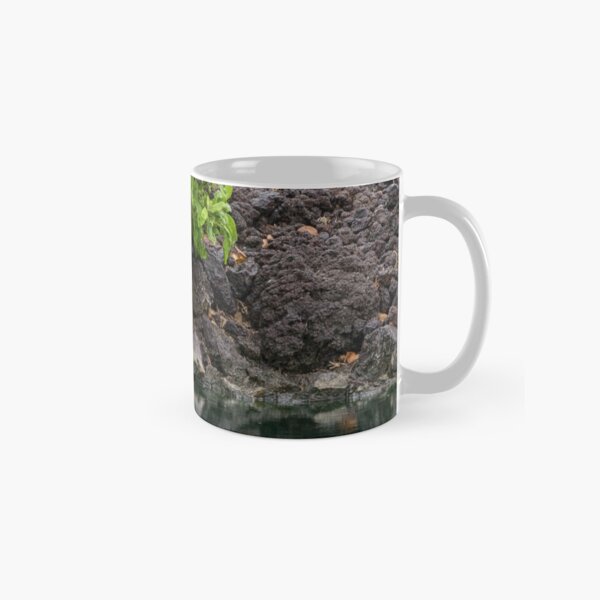 Sheltered Classic Mug