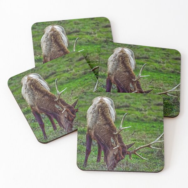 Item preview, Roosevelt Elk designed and sold by Bryan Spellman.