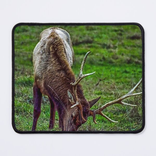 Item preview, Roosevelt Elk designed and sold by Bryan Spellman.