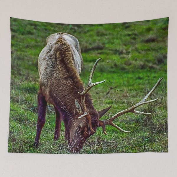Item preview, Roosevelt Elk designed and sold by Bryan Spellman.