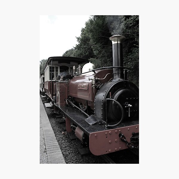 Item preview, Chatanaga Choo Choo designed and sold by imageworld.