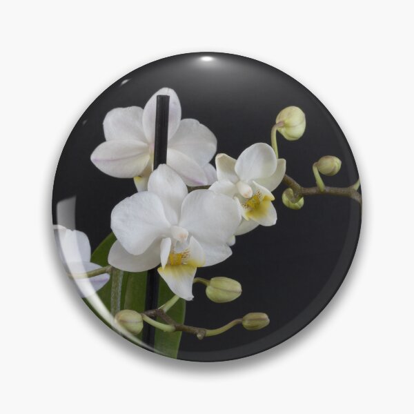 Item preview, Orchids - Wide Depth of Field designed and sold by Cassandra Tiensivu.