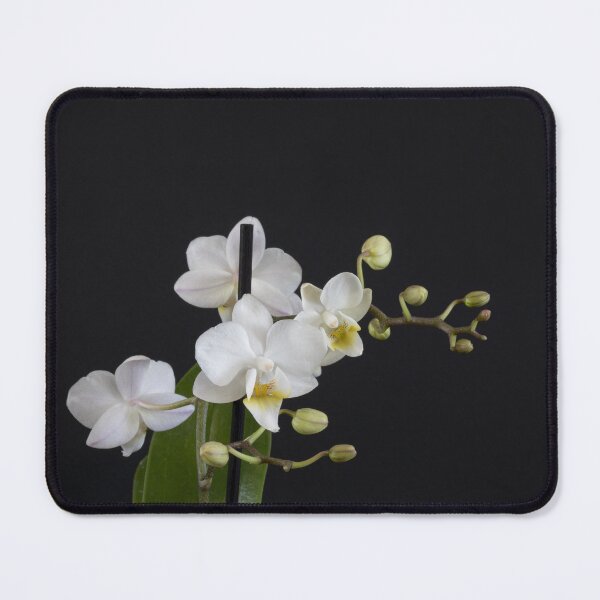 Item preview, Orchids - Wide Depth of Field designed and sold by Cassandra Tiensivu.