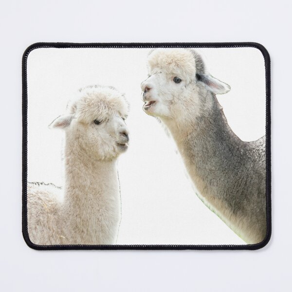 Item preview, Llama Be Together-Alpaca designed and sold by DiensDesign.