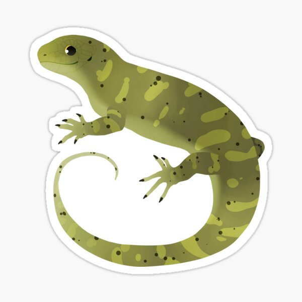 Item preview, Hypo Giant Monkey Tailed Skink (Corucia zebrata) designed and sold by shiinzi.