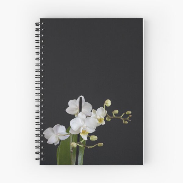 Item preview, Orchids - Wide Depth of Field designed and sold by Cassandra Tiensivu.