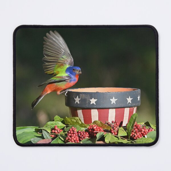 Item preview, Painted Bunting Bird Saluting the American Flag Bowl designed and sold by candiscamera.