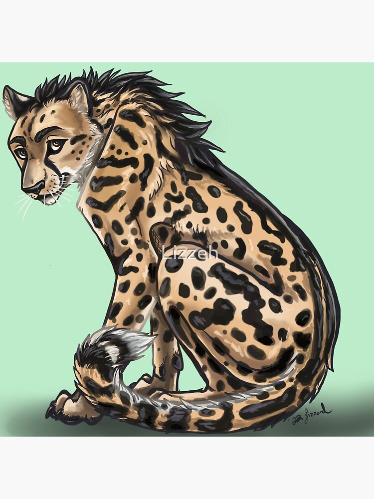 King Cheetah