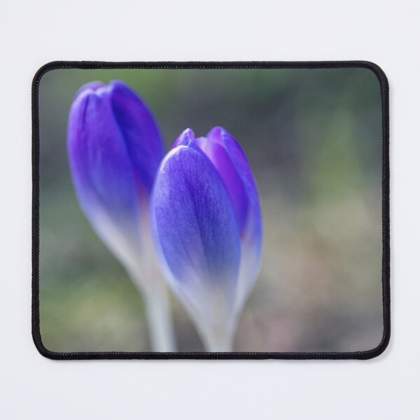 Item preview, Dainty Wild Crocuses designed and sold by Kasia Design.