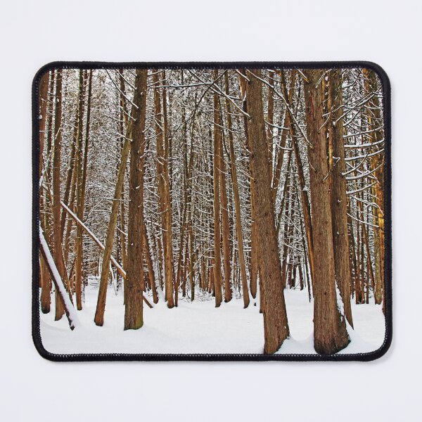 Item preview, Cedar Winter Forest designed and sold by Deb Oppermann.