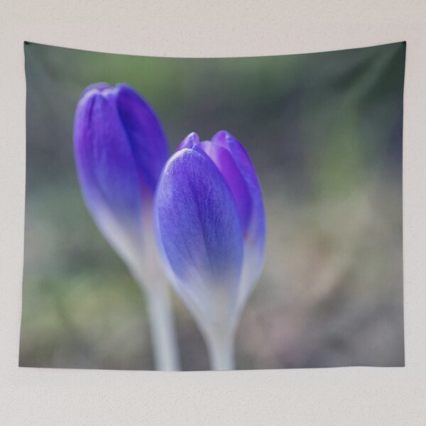 Item preview, Dainty Wild Crocuses designed and sold by Kasia Design.