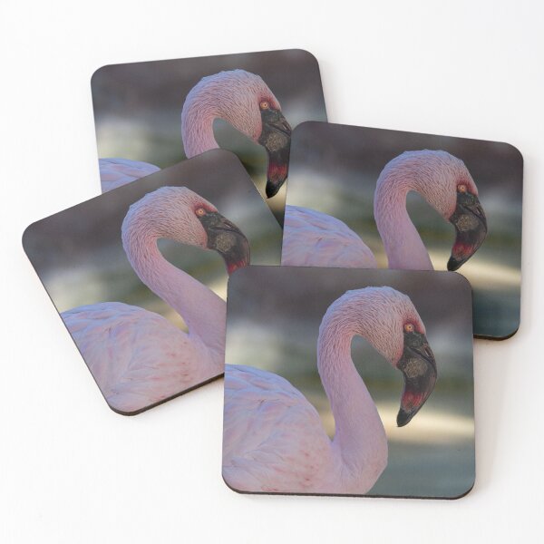 Item preview, Portrait of a greeater flamingo designed and sold by pietrofoto.
