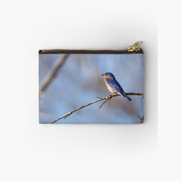 Item preview, Bluebird 2020-1 designed and sold by Thomasyoung.