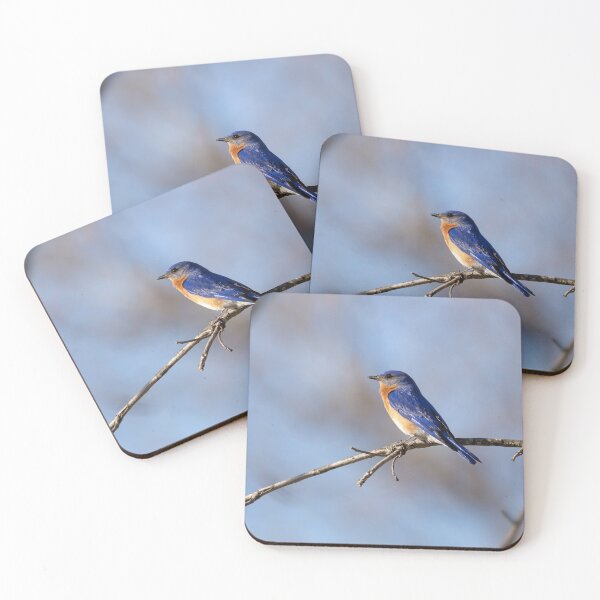 Item preview, Bluebird 2020-1 designed and sold by Thomasyoung.