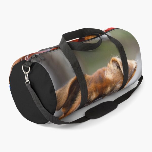 Item preview, Funny Pug Dog Playing on Guitar designed and sold by ONORMAL.