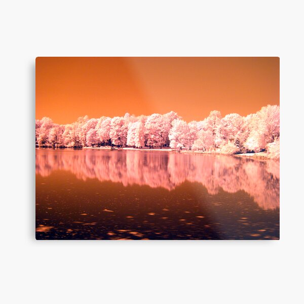 Reflection Metal Print