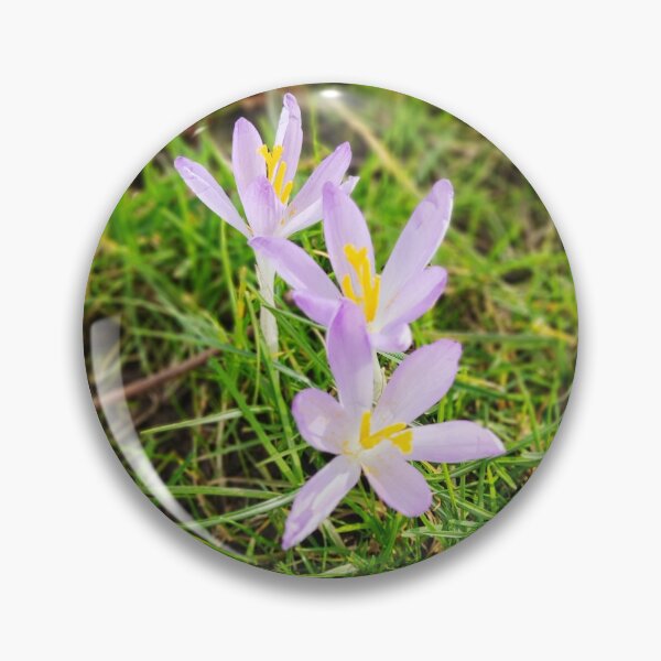 Item preview, Nature photography forest flower designed and sold by Aline22.