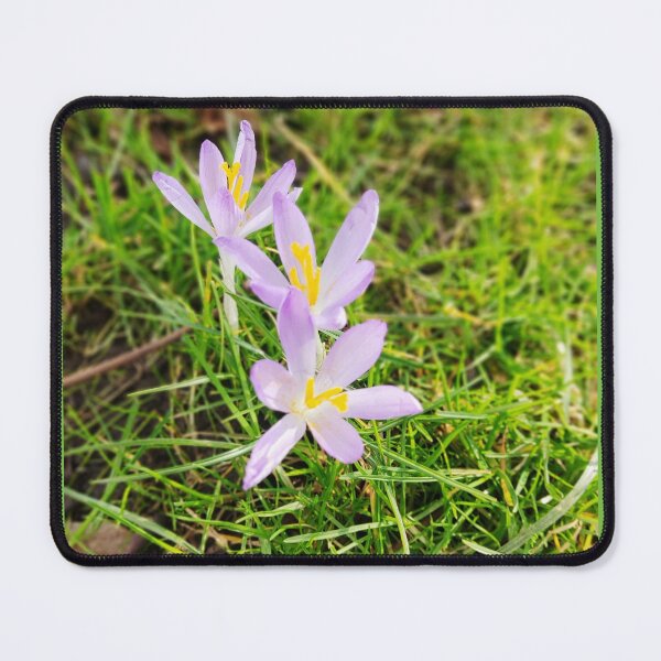Item preview, Nature photography forest flower designed and sold by Aline22.