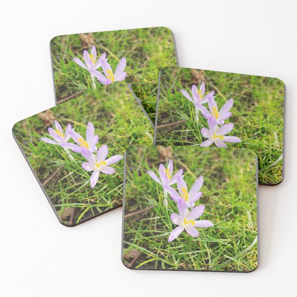 Item preview, Nature photography forest flower designed and sold by Aline22.